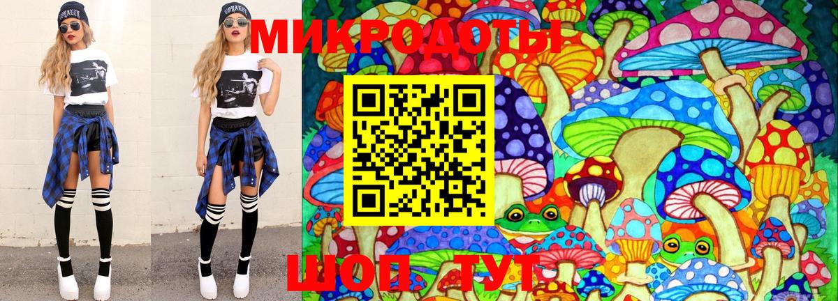 Галлюциногенные грибы Psilocybine cubensis Карачаевск
