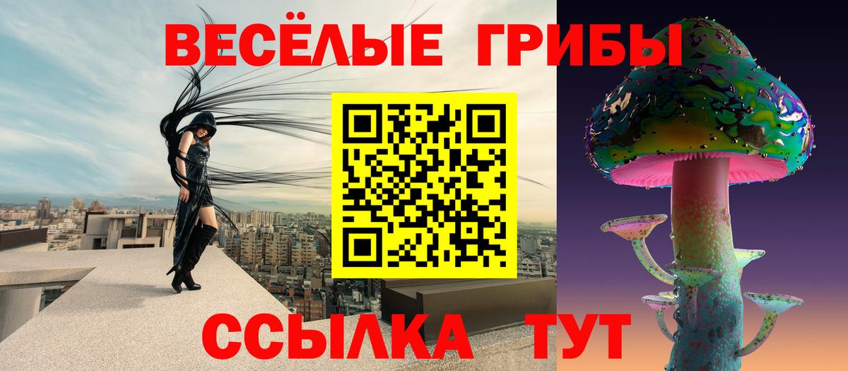 Галлюциногенные грибы MAGIC MUSHROOMS  как найти закладки  Карачаевск  Вход с VPN 